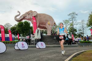 BIB: 
                            <button type="button" onclick="openModal(26528996)" class="btn btn-primary btn-sm float-right btn-popup" data-toggle="modal" data-target=".modal-high-quality">
                        <i class="fas fa-shopping-cart"></i> Add to Cart
                    </button>
                                            <button type="button" onclick="isThisMe(26528996, true)" class="btn btn-success btn-sm float-right btn-popup btn-isme hidden" data-toggle="tooltip" data-placement="bottom" title="นี่คือรูปของคุณใช่ไหม คลิกที่นี่เพื่อเอาเข้าอัลบั้ม">
                        <i class="fas fa-plus"></i> Add to album
                    </button>
                    <button type="button" onclick="isThisMe(26528996, false)" class="btn btn-warning btn-sm float-right btn-popup btn-isnotme hidden">
                        <i class="fas fa-ban"></i> Remove from album
                    </button>